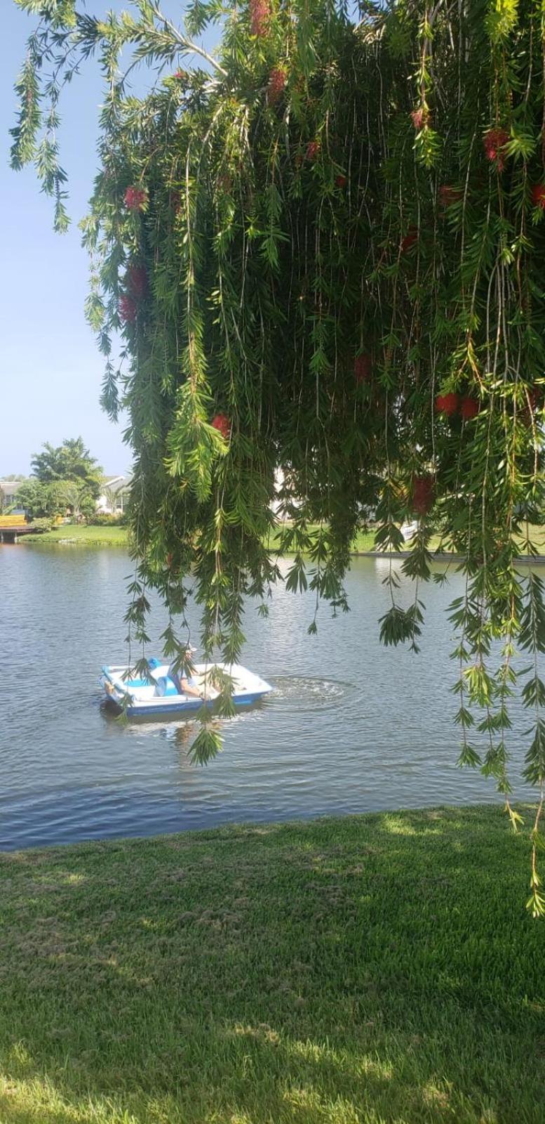 Near Clearwater And Tarpon Spring With Water View Appartement Holiday Buitenkant foto