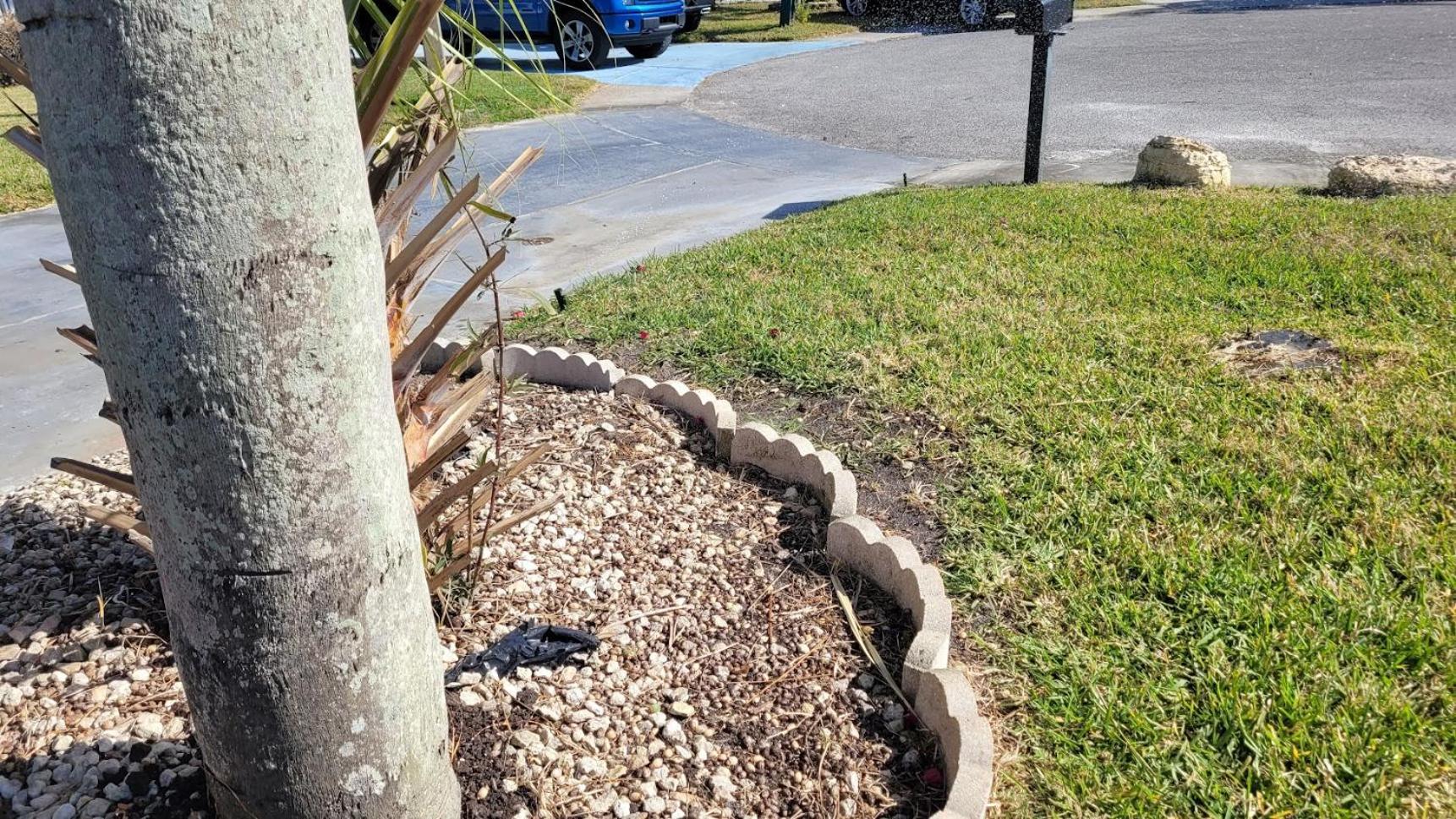 Near Clearwater And Tarpon Spring With Water View Appartement Holiday Buitenkant foto